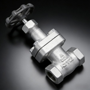 Vanne en fonte ductile 20KSLS JIS 20K à extrémités à brides manuelles DN15/DN20 pour applications eau et huile, support personnalisé 028 20KSLS JIS 20 - Product Image 5