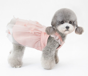 JXANRY estate/primavera cucciolo Maltese Yorkshire abito elegante per animali domestici per cuccioli da principessa - Product Image 5
