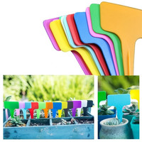 Étiquettes de jardin en plastique PP imperméable épaisses et améliorées, type T, 10x6 cm, 1 mm d'épaisseur, marqueurs de plantes pour pépinière