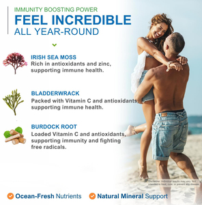 แคปซูลแข็งสำหรับดีท็อกซ์ลำไส้แบบมังสวิรัติเพื่อสุขภาพผู้ใหญ่ - Product Image 4