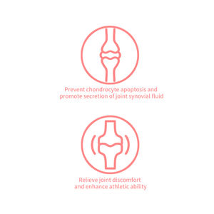 Compléments alimentaires et vitamines pour les articulations et la mobilité des chats et des chiens, santé des articulations, friandises molles avec <span class=keywords><strong>glucosamine</strong></span> <span class=keywords><strong>HCL</strong></span> - Product Image 2