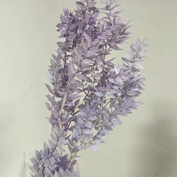 Gedroogde Echte Witte Decoratie Bloemen Eucalyptus Italiaanse Ruscus Stengels Geconserveerd Gebleekte Eucalyptus Kleine Bladeren Yf02