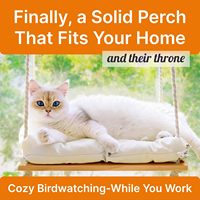 Perchoir de fenêtre pour chat avec ventouses de qualité industrielle, hamac en bois de pin massif, coussin moelleux, capacité de 42 lb pour chats d'intérieur