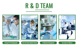 Multivitaminas OEM 10 en 1 para mascotas con vitamina A y glucosamina gotas suplementos vitamínicos para perros - Product Image 6