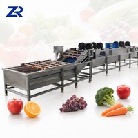 Automatische waslijn voor groenten en fruit met luchtbeltechnologie, industrieel gebruik.