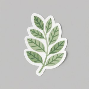 Étiquettes personnalisées imprimées pour produits pharmaceutiques sains, en rouleau mat, avec impression UV sélective, pour bouteilles de compléments nutritionnels, fabriquées en PP - Product Image 6