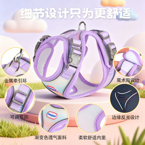 Nouvelle laisse de promenade réfléchissante pour animaux de compagnie, style gilet, pour chats, chiens Teddy, Bichons, lapins, meerkats et autres chiens. - Product Image 3