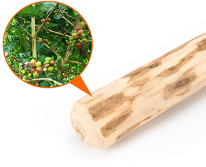 Juguete Masticable de Madera Ecológico para Perros, Palo de Madera de Café para Cachorros, Limpieza Dental, Alivio del Estrés - Product Image 5