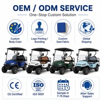 Nouveau modèle 2+2, voiturette de golf électrique 4 places, batterie lithium 60V, moteur AC 4.0KW, 35KM/H, autonomie 90km, buggy tout-terrain pour la chasse
