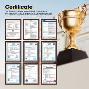 # Ventilador de Techo Decorativo de 52 Pulgadas con Aspas de ABS y Motor BLDC, con Control Remoto, para Uso en Hogar y Hotel, Modelo 2816 Source Factory - Product Image 5