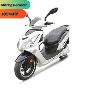Mini 49Cc <span class=keywords><strong>125Cc</strong></span> 110Cc 2026 - Meilleur Prix - Product Image 2