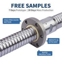 Vis à billes en acier CNC haute vitesse GS avec roulement à billes C7 de précision SFU1604 Gcr15, filetage fraisé, longueur 100 mm, garantie 1 an