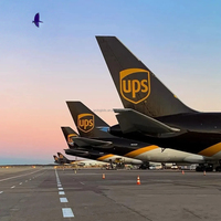 Transitaire maritime professionnel le plus rapide Chine-Australie Marchandises dangereuses FBA Amazon E-commerce DDP LCL+Express