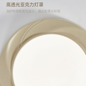 Lámpara de Techo LED de Estilo Nuevo 2023, Diseño Minimalista Nórdico Francés para Dormitorio Principal y Estudio, Respetuosa con la Vista - Product Image 6