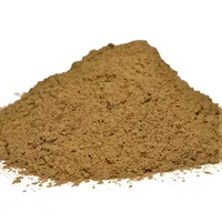Poudre de racine de Punarnava sauvage Extrait de plante pour l'alimentation saine boerhaavia diffusa poudre de racine pour la santé ou le supplément nutritionnel
