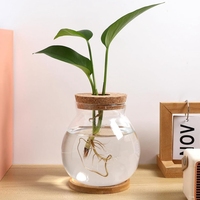 Kit de réservoir de poisson en verre transparent avec couvercle en bois petit bol à poisson Betta et vase de terrarium végétal