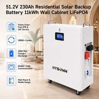 Batterie de secours solaire résidentielle Hysonn 51.2V 230Ah 11kWh LiFePO4 pour l'Europe et le Moyen-Orient, commandes en gros, OEM