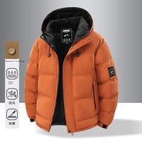 Veste matelassée épaisse en coton à capuche pour homme Peel, nouvelle collection hiver 2026, style professionnel, coupe-vent, chaude et décontractée