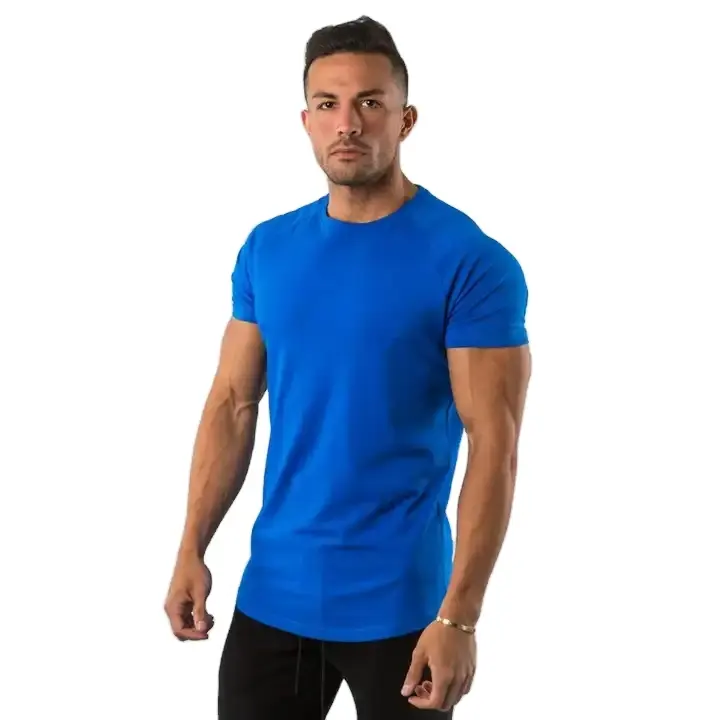 Camiseta 95% de algodón 5% spandex para hombre, ropa para gimnasio y fitness, con logo privado personalizado, lisa, Blanca