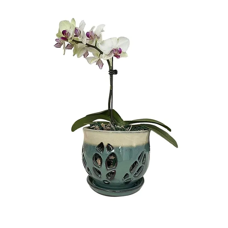 Vas keramik besar Modern 6.5 inci, Set Pot bunga bulat dengan piring Pot bunga anggrek dengan lubang untuk tanaman dalam ruangan