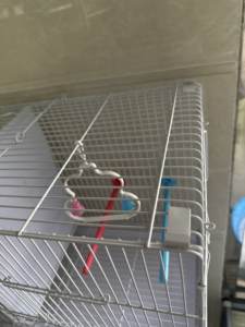 Vente chaude De Luxe Fil D'acier Fer Cage À Oiseaux pour Canari Pigeon <span class=keywords><strong>Moineau</strong></span> Perroquet Petite Maison Pour Animaux De Compagnie Boîte Écologique - Product Image 6