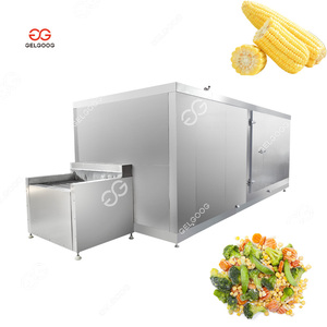 Gelgoog, producción de congelación de guisantes multifuncional, línea de producción de verduras y frutas congeladas, línea de producción de verduras congeladas - Product Image 3