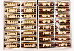 Denti dentali del polimero della resina acrilica dentiera anteriore e posteriore - Product Image 4