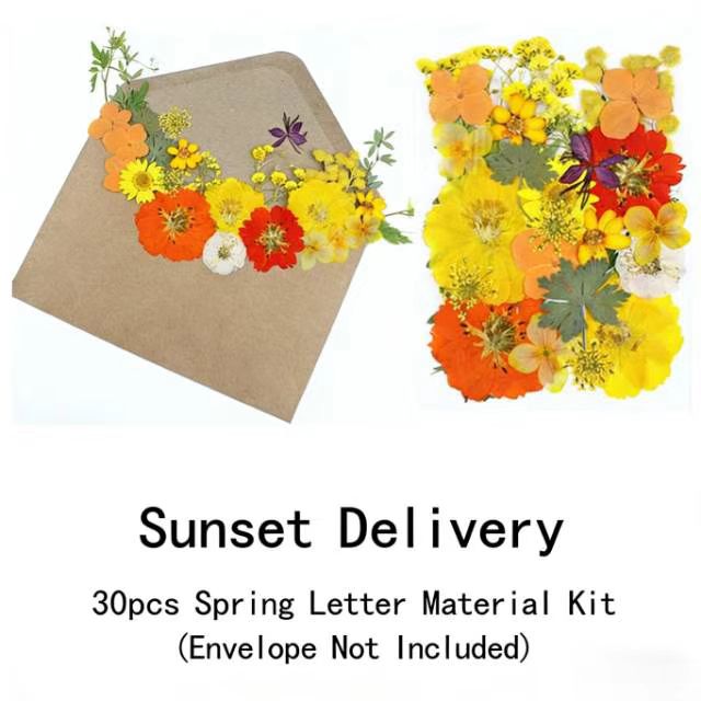 Livraison au coucher du soleil (30 pièces/sac)
