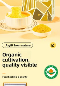 Nouveau Riz Glutineux Biologique de 25 Ans, <span class=keywords><strong>Millet</strong></span> Jaune Chichuan, Chifeng Aohan Jinmiao K1, Mélange de Céréales pour Porridge 2,5 kg Chine - Product Image 6