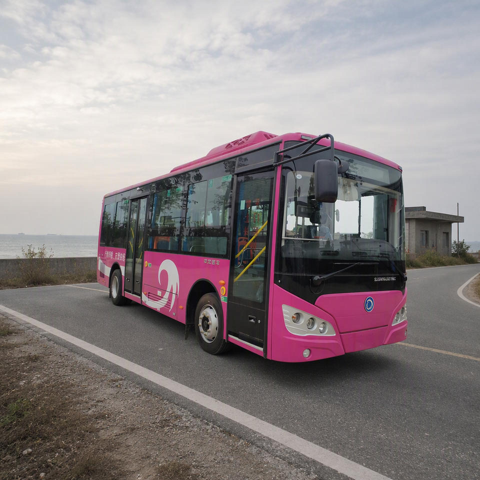 Metro Link Electric Shuttle Bus 8m 58 Passengers 15-29 Seats 322km ...