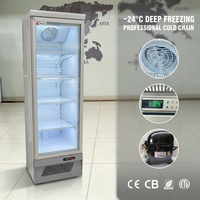 Congélateur vitrine verticale à porte vitrée, mécanique, pour sections surgelées de minimarchés, -22°C, étagères réglables, usage commercial