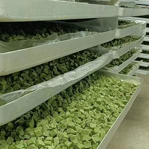 Snacks de hierba gatera liofilizada para limpieza dental y control de bolas de pelo, promueven un pelaje saludable y comodidad al masticar, 1 kg - Product Image 5