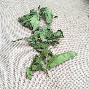 Foglie di Menta Essiccate Bo <span class=keywords><strong>He</strong></span>, Nuovo Raccolto, Grado Tè, Menta Piperita Aromatica, Ingredienti per Tè - Product Image 5