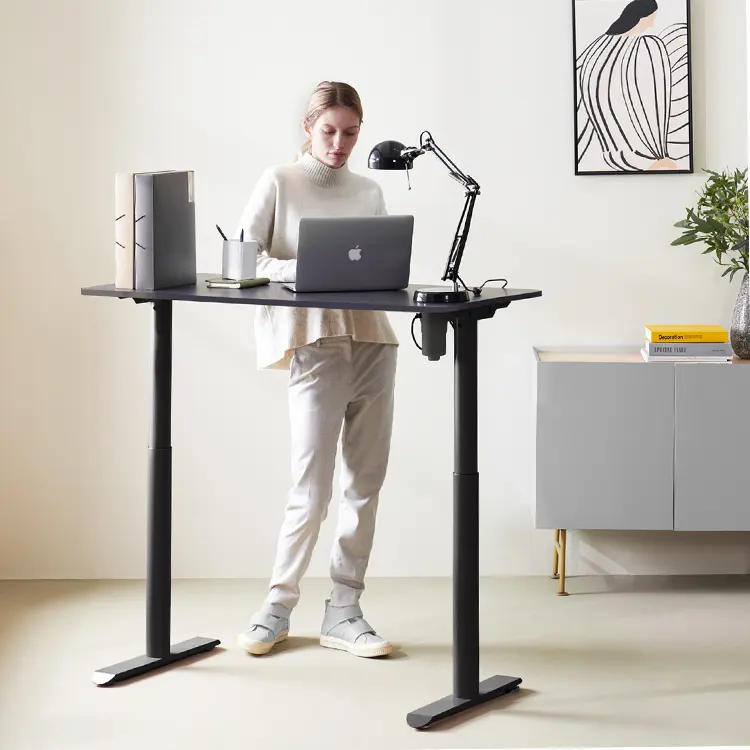 Bureau assis et debout électrique réglable en hauteur table élévatrice réglable en hauteur bureau électrique