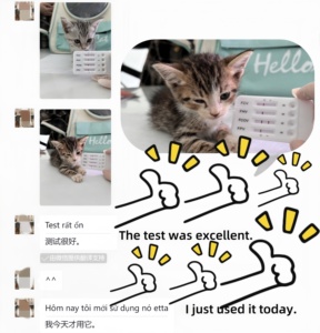 Productos para el cuidado de gatos Fhv herpes Ab Herpesvirus felino Tipo 1 Kit de prueba rápida de anticuerpos - Product Image 4