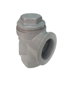 Válvula de Retención Angular de Hierro Fundido con Cuerpo de Goma, Prueba de 500 psig, Tamaño 2 Pulgadas, Aplicación General, Tipo C, Alta Calidad - Product Image 2