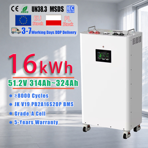 Batterie solaire LiFePO4 à plus de 8000 cycles profonds, 16 kWh, 51,2 V, 314 Ah, pour stockage d'énergie domestique avec coussin chauffant - Product Image 1