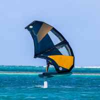Vente chaude Débutant Expert Table Ailes Wingfoil Conseil En Fiber De Carbone Air Windfoil Surf Vent Aile Feuille Surf Pour Wave Riding