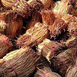 Corde en jacinthe d'eau naturelle séchée, écologique et résistante aux radiations, du Vietnam, pour sacs faits main, accents de mobilier et intérieur rustique - Product Image 1