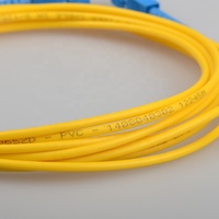 Customizable Length Optical Fiber Patch Cord Single Mode SC/UPC-SC/UPC 0.9mm 2.0mm 3.0mm 9/125um FTTH Pigtail PVC/LSZH SM SX