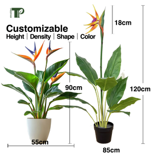 Chim của Thiên Đường heliconia gốc hoa Nhân Tạo Hoa vĩnh viễn, được sử dụng cho Diy Đảng, văn phòng, và trang trí nội thất hiển thị - Product Image 4