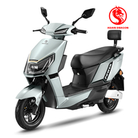Moped électrique durable de 500 W à batterie au plomb, scooter électrique longue portée pour adultes, moto électrique élégante pour les trajets en ville