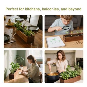 Độc đáo trong nhà Starter <span class=keywords><strong>Bonsai</strong></span> Tree Kit Country-style hoàn chỉnh Kit với <span class=keywords><strong>Bonsai</strong></span> công cụ làm bằng sợi chậu - Product Image 5