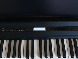 Beisite prezzo di fabbrica portatile pianoforte digitale 88-Key professionale francese fonte di sogno in legno massello tavola armonica durevole con custodia - Product Image 4