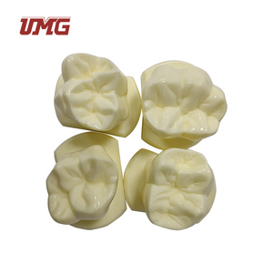 14 cái/bộ 6 lần mô hình răng kích thước tự nhiên - Product Image 3