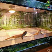 Thermostat intelligent double pour terrarium d'oiseaux et de reptiles, cage pour animaux de compagnie avec porte coulissante en verre, prise de lampe en céramique, contrôle de la lumière chauffante pour l'élevage