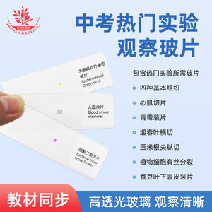 L'expérience de l'examen d'entrée au collège comprend 12 diapositives pédagogiques, telles que des diapositives sur les quatre tissus humains de base. - Product Image 5