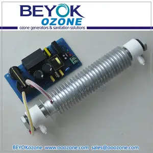 FQM-G50W 10g 20G 50g ozono tubo al quarzo generatore di ozono disinfettante d'aria