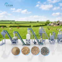 Ligne complète de traitement des granulés d'aliments pour bétail et volailles pour l'industrie agricole