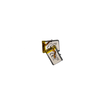 Chaussettes chauffantes LithoTop 502531 rechargeables, batterie liquide haute tension 3,85 V, 400 mAh avec cathode LiCoO2, protection PCM intégrée